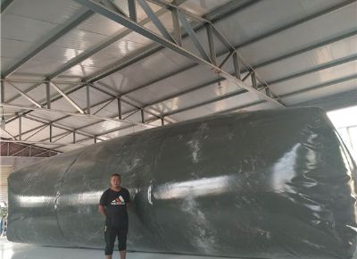 點擊查看詳細信息<br>標題：油囊 閱讀次數(shù)：3644