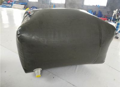 點擊查看詳細信息<br>標題：油囊 閱讀次數(shù)：3930
