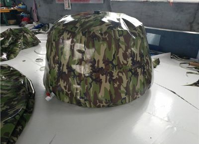 點擊查看詳細信息<br>標題：油囊 閱讀次數(shù)：3721