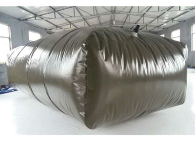 點擊查看詳細信息<br>標題：油囊 閱讀次數(shù)：3746